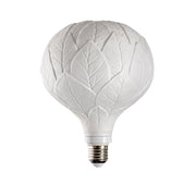 Oak Bulb