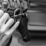 English Purebred Horse Sculpture