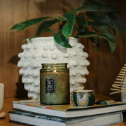 Temple Moss Large Jar 18 oz