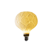 Oak Bulb