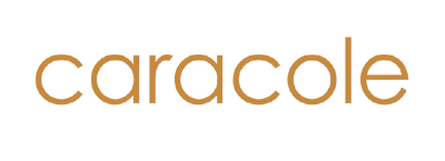 Brand logo 2
